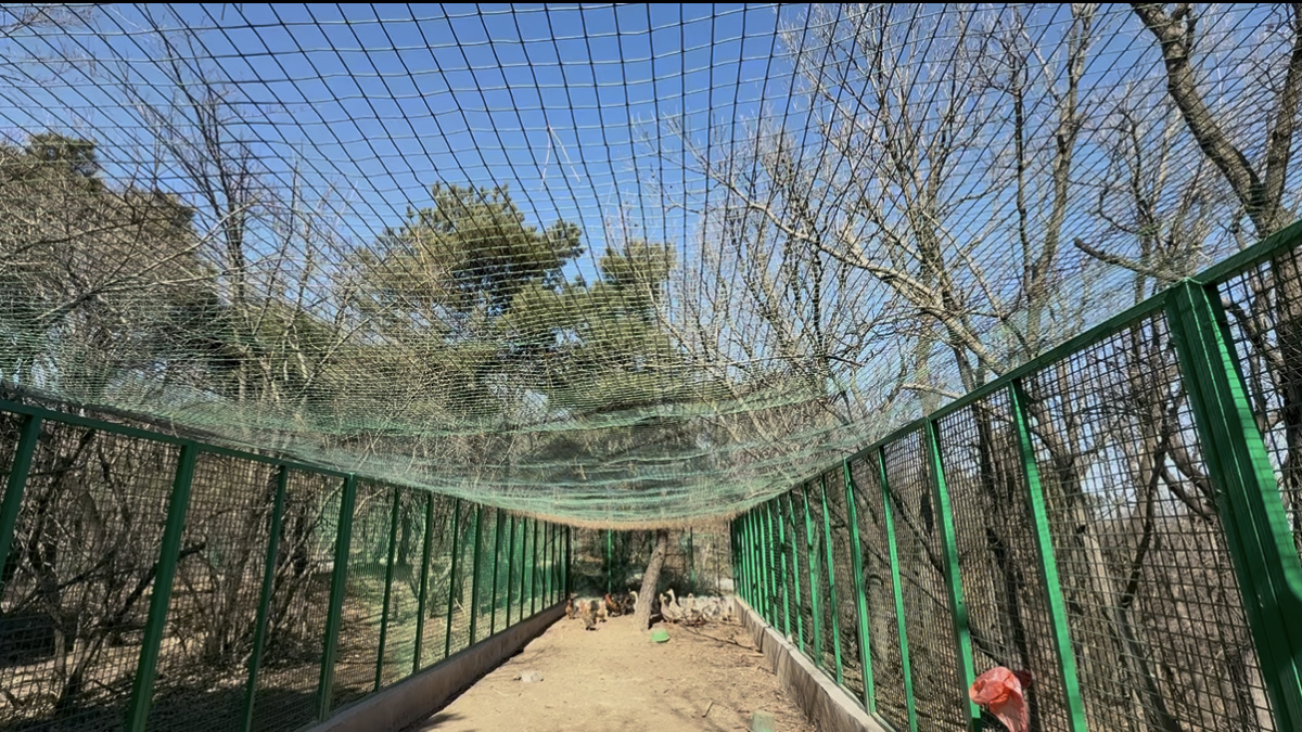 这个春节，我在嵩山之巅“看天” | 新春走基层