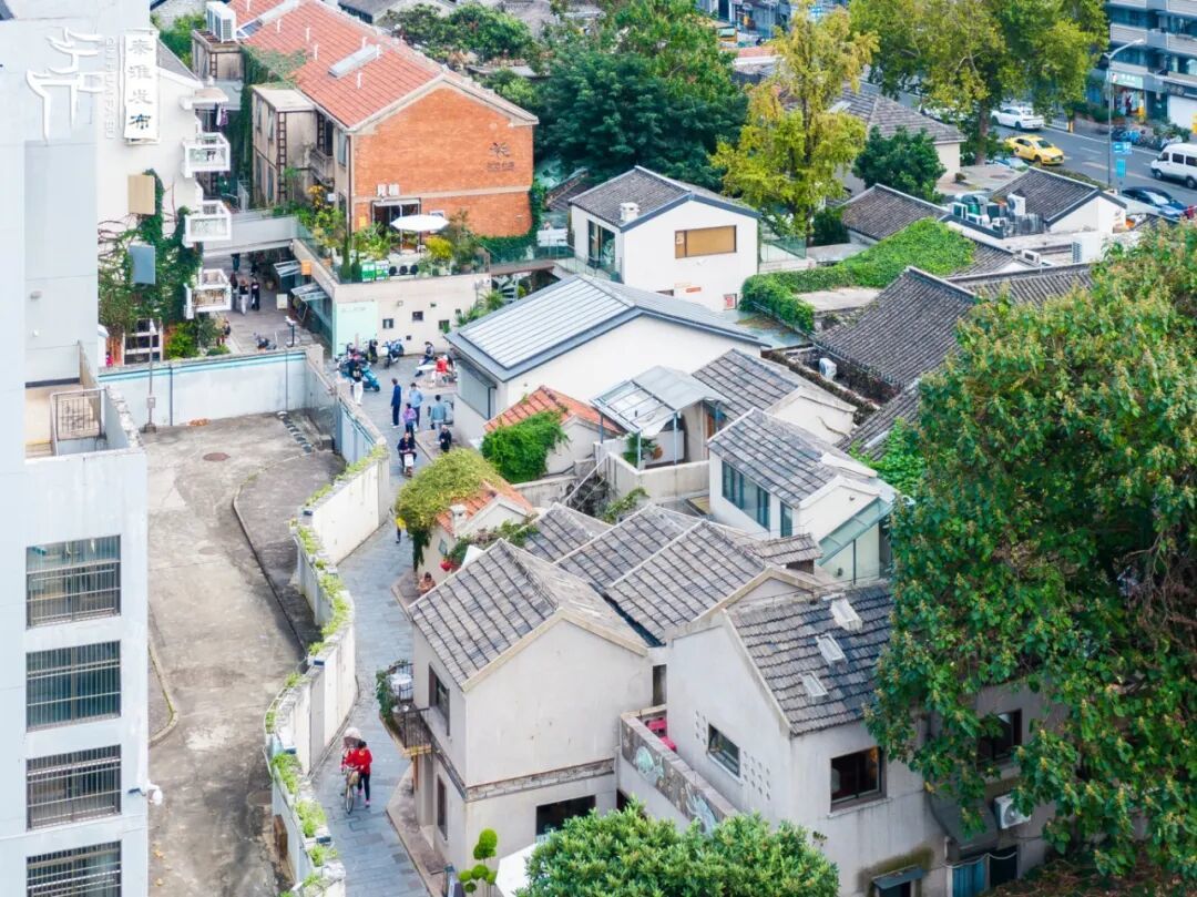 DJI_0077-已增强-降噪.jpg