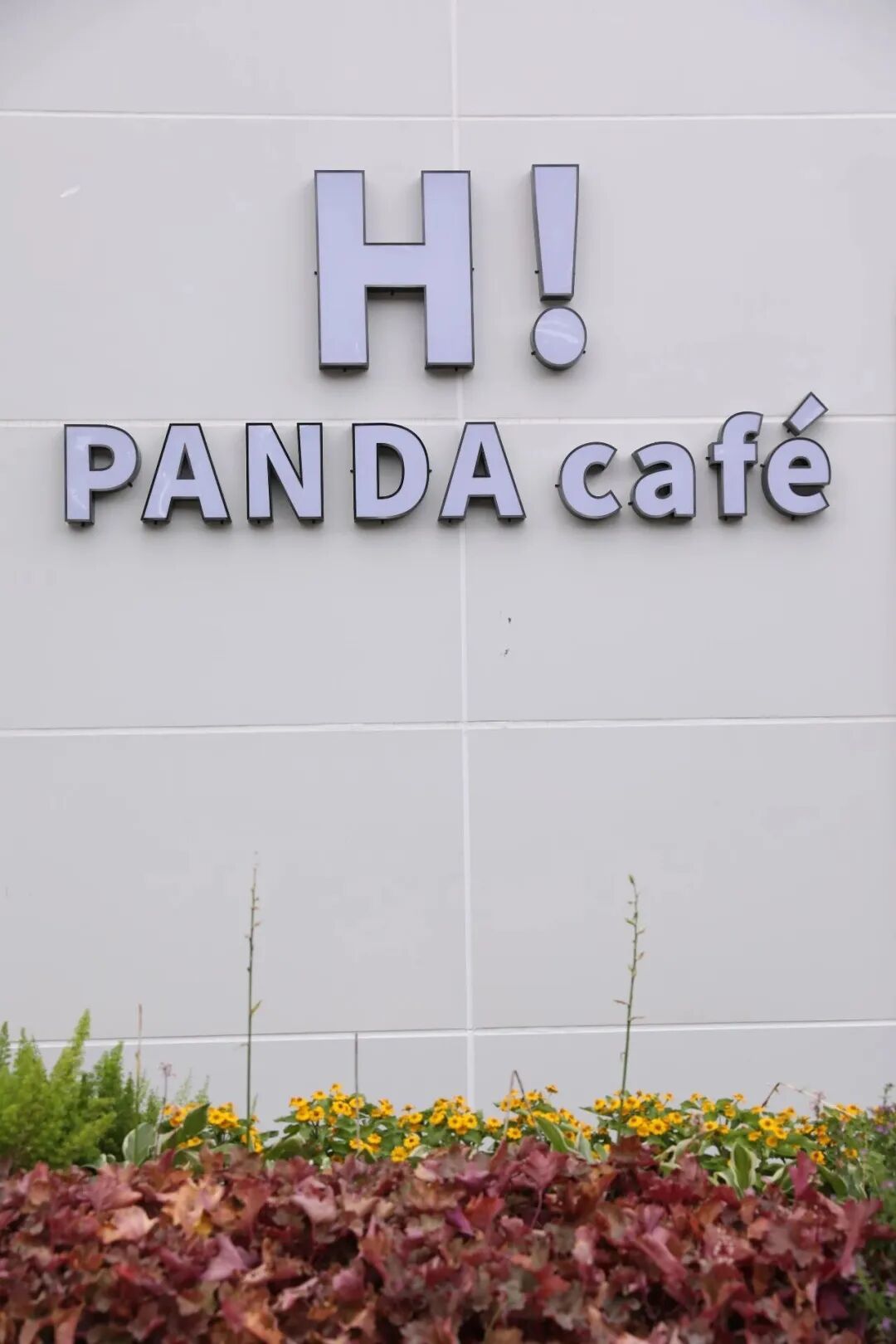 e2b33d6ffd98d020950908ca3d1ca662.jpg