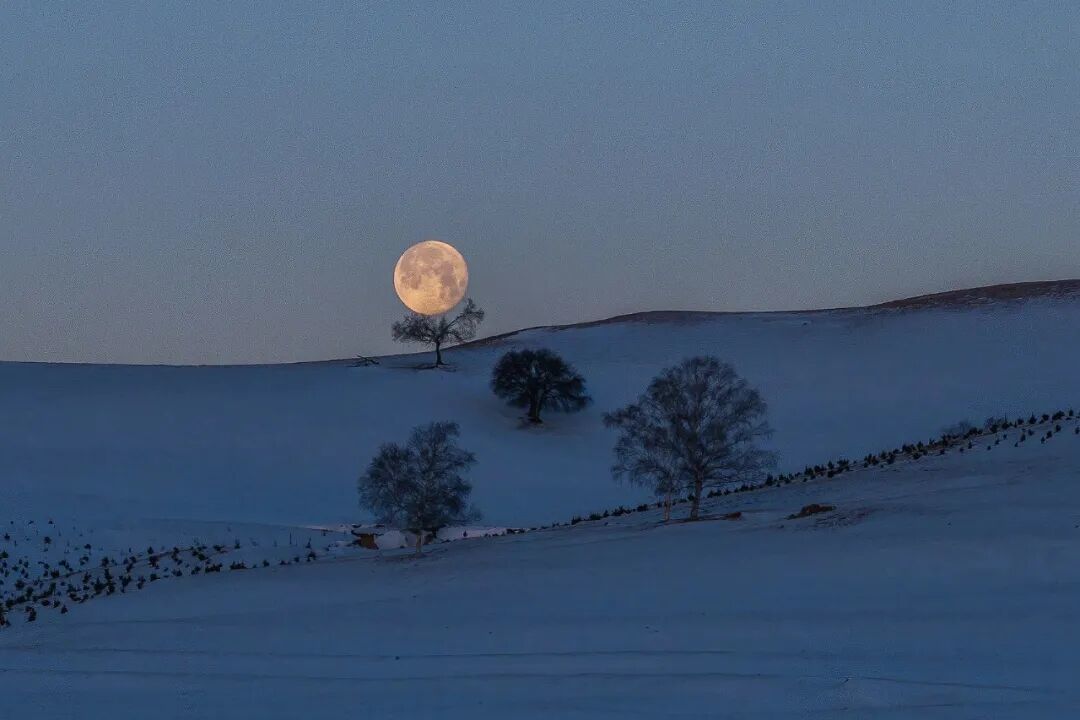 △乌兰布统“暖水魔界”。(图/视觉中国)