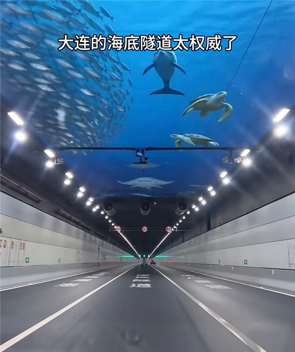 AI生图骗哭小男孩！官方声明：大连海底隧道看不到鱼