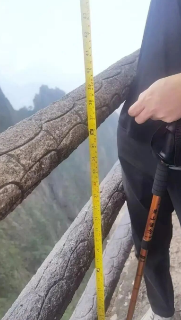 罗先生一方认为护栏高度不够