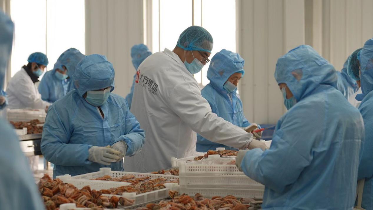 柿饼生产厂间,工作人员对柿饼进行抽样检验。陕西富平大方天玺绿色农业发展有限公司供图