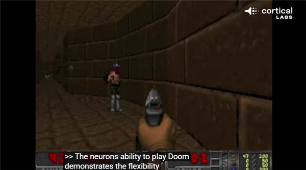 20万个活体人类神经元在电脑芯片上激活!竟然能自己玩《毁灭战士》游戏