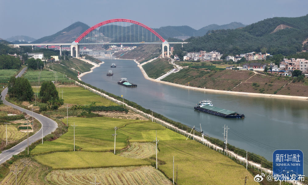 【#平陆运河秋景#】金秋时节，广西平陆运河两岸秋意盎然，澄澈河水倒映