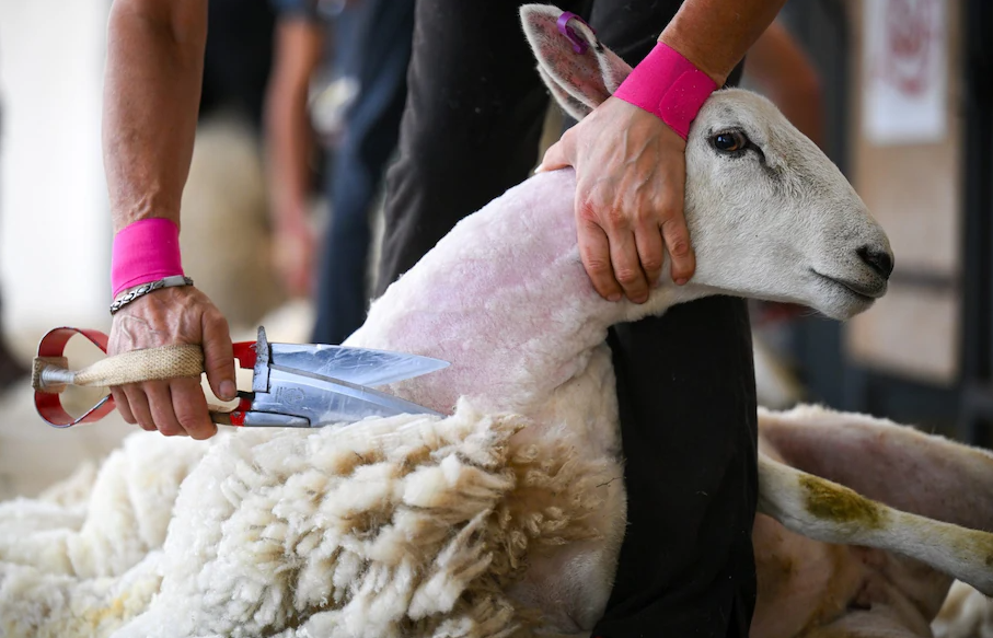 资料图 图源：英媒
