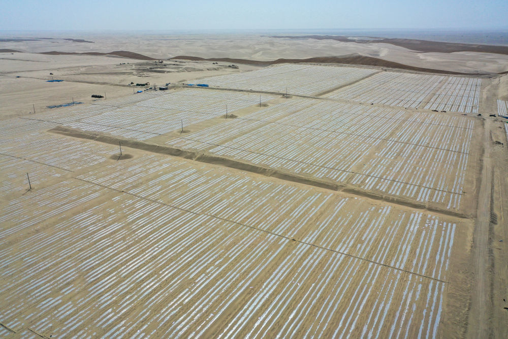 在新疆和田地区和田县三万亩群众防沙治沙区，当地在开心果林地套种南瓜（4月16日摄，无人机照片）。　 新华社记者 丁磊 摄