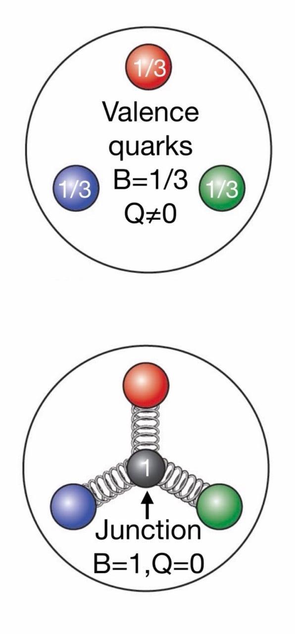 图示展示了关于粒子重子数分布的两种相互竞争的观点。（STAR合作组，《科学》，2026）