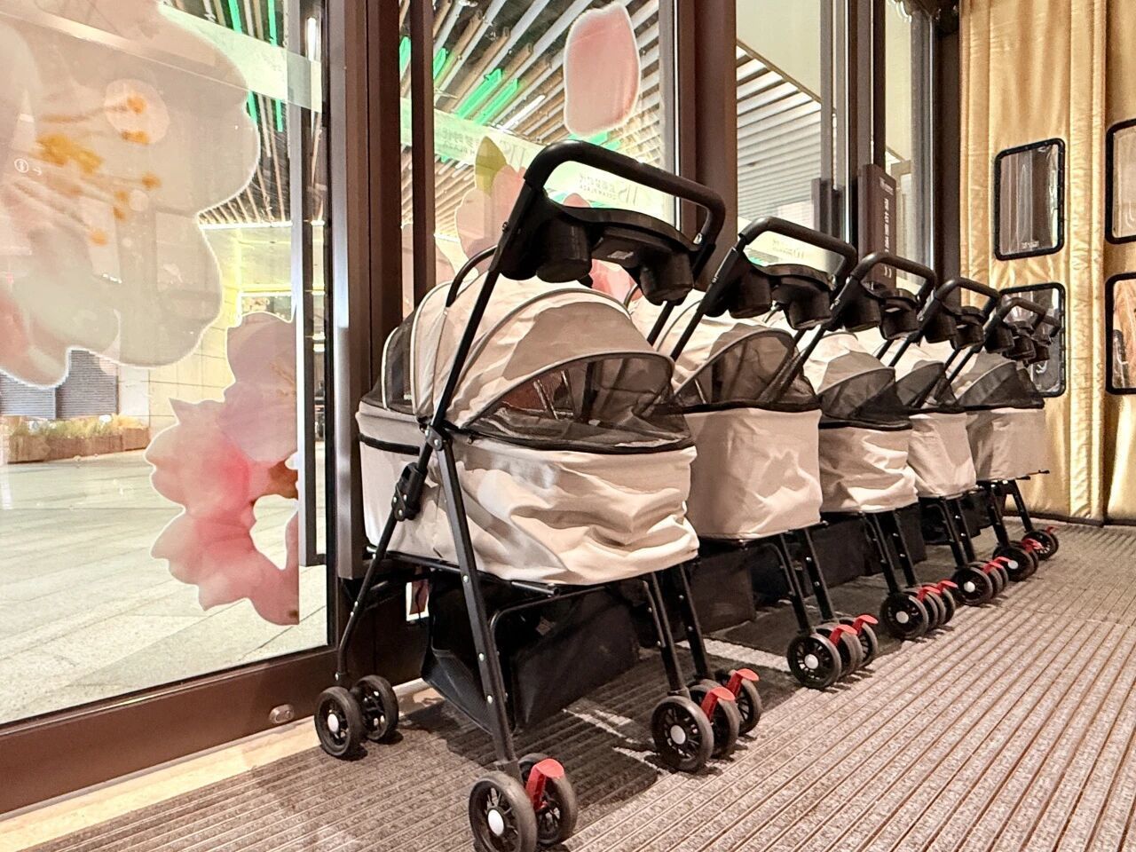428a6cd09bb8a787ae7ddc5431d6a395.jpg