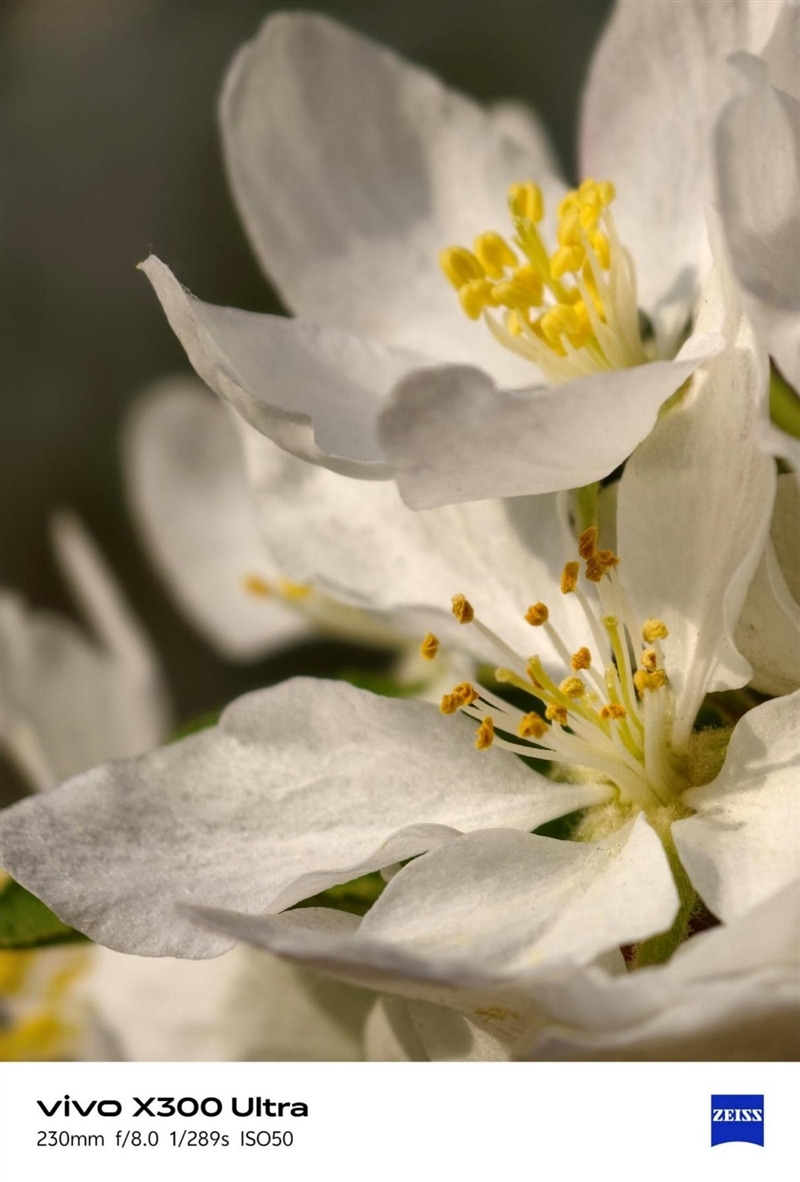 14-400mm终极全焦段!vivo X300 Ultra手机全面评测:依然是年度影像机皇