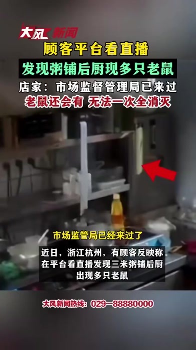 顾客平台看直播发现粥铺后厨现多只老鼠 店家：市场监督管理局已来过 老鼠还会有 无法一次全消灭