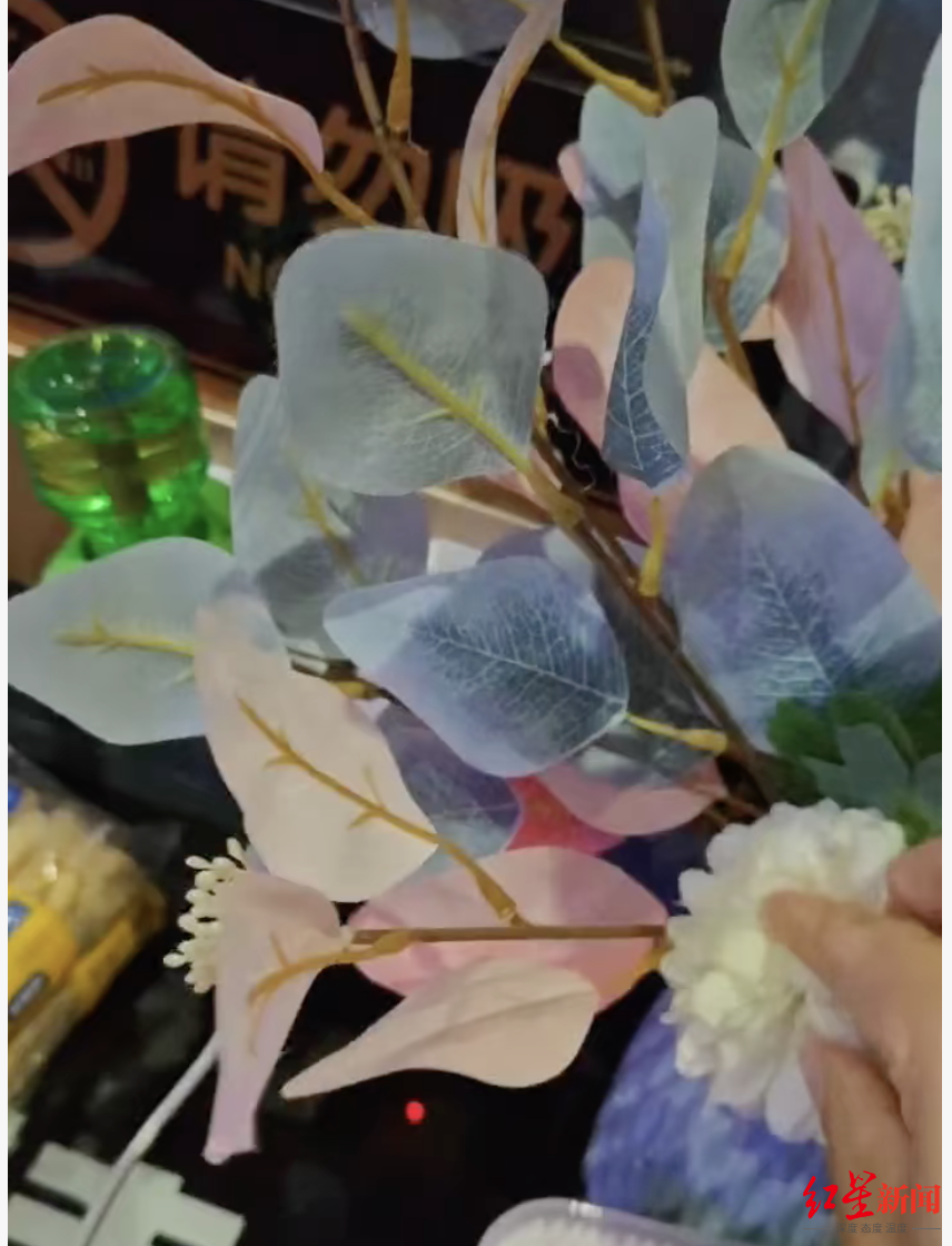 ▲酒店房间的假花。受访者供图