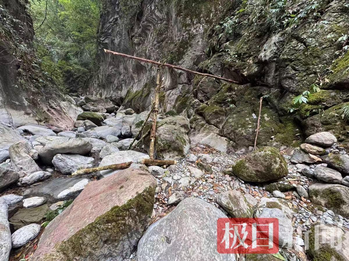 山脚下疑似非法捕猎人员架设的木架子