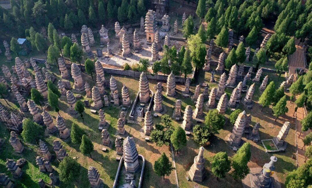这是登封“天地之中”历史建筑群中的少林寺塔林。图源:新华社
