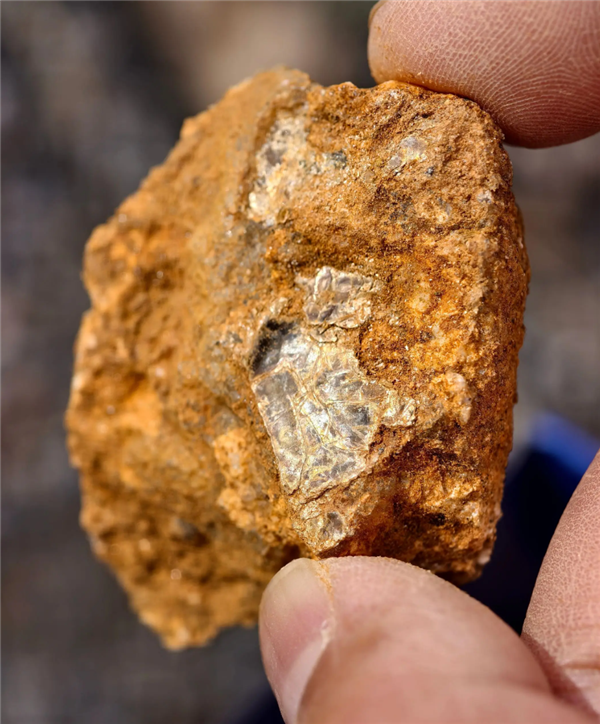 8岁男孩爬山识草预判山下藏金矿 与AI给出的结果高度吻合