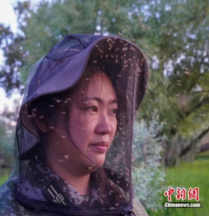 一八五团护边员带着橡胶手套预防蚊子咬伤。陈洋 摄