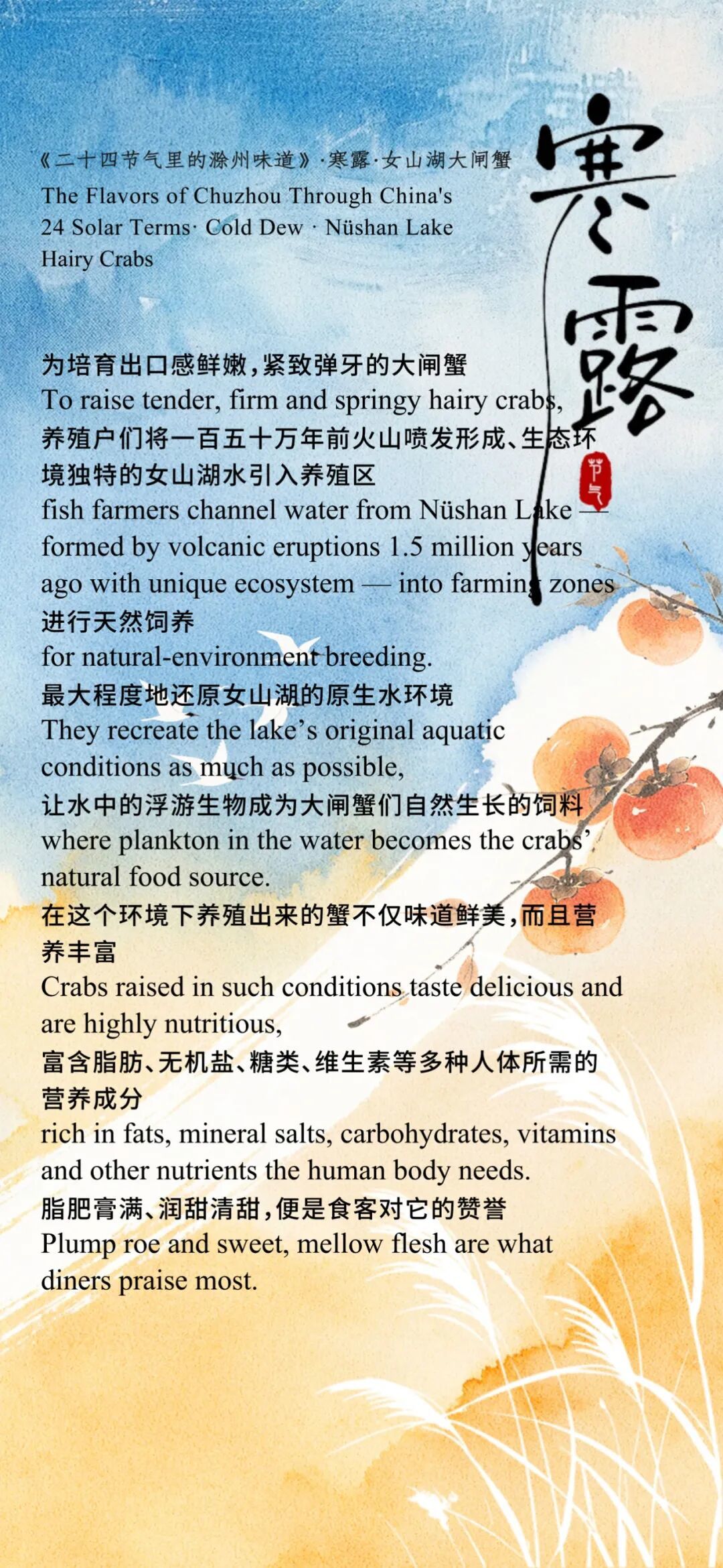 寒露4.jpg