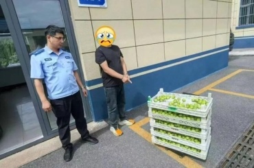 Y:ToolsDesktop图片素材2.jpeg