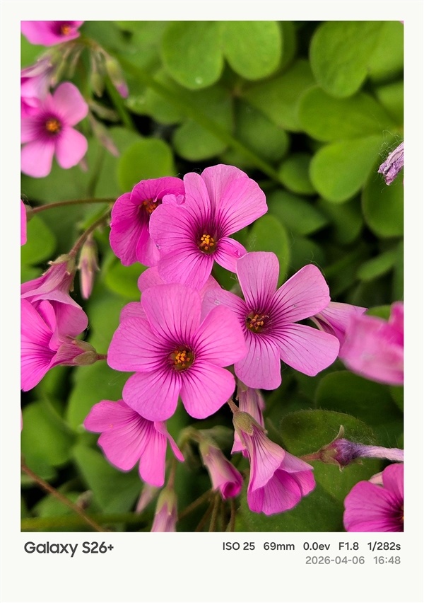 第五代骁龙8至尊版加持！三星Galaxy S26+手机体验评测：浮薄与性能兼得