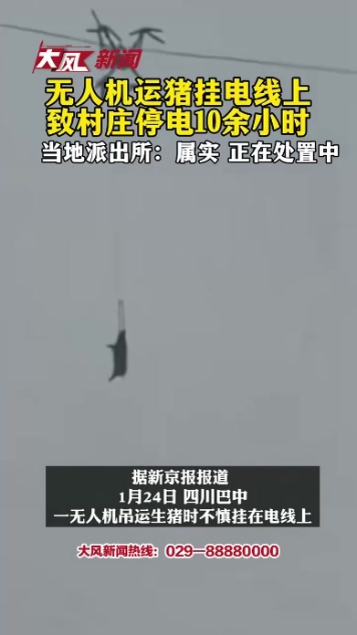 无人机运猪挂电线上村庄停电10余小时当地派出所：属实 正在处置中