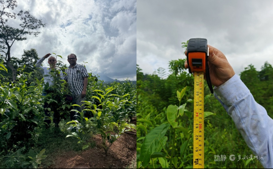 2025年5月的手刨田