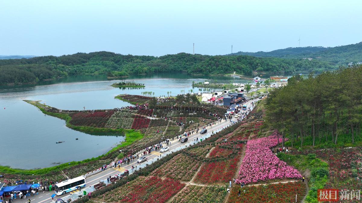 图片5.jpg