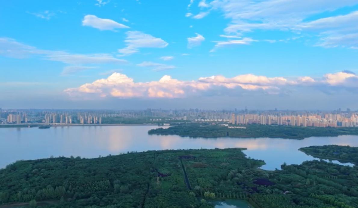 【理响中国·领航未来】向善而行:守牢科技发展安全线