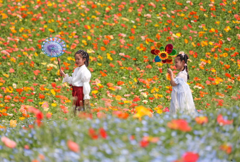 ↑4月4日，小朋友在江苏省句容市白兔镇伏热花海玩耍。新华社发（钟学满摄）