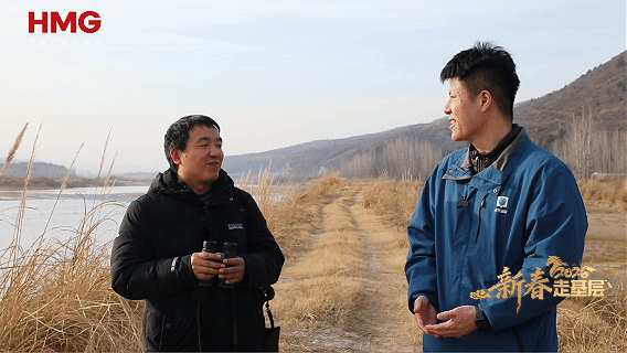 新春走基层丨浪漫“鸥遇”不止偶遇