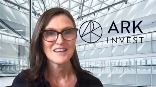 ARK CEO：三星和SK海力士是东谈主工智能产业腹黑与灵魂