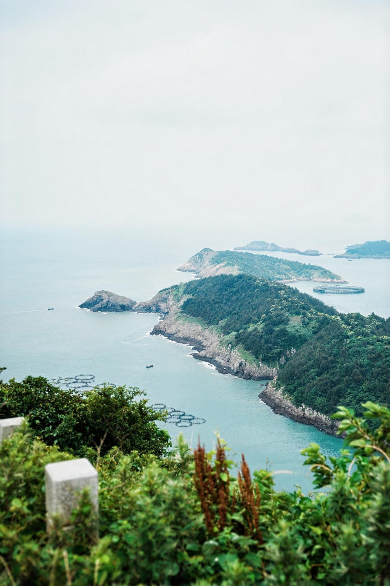 美丽中国&middot;青绿手记｜从荒岛到绿岛，大陈岛变美了！