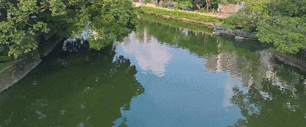 GIF10132.gif