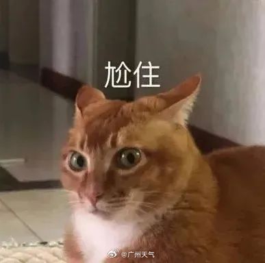 #天气剧透# ⭐26-28日，云量逐渐增多，气温小幅波动 ⭐29-3