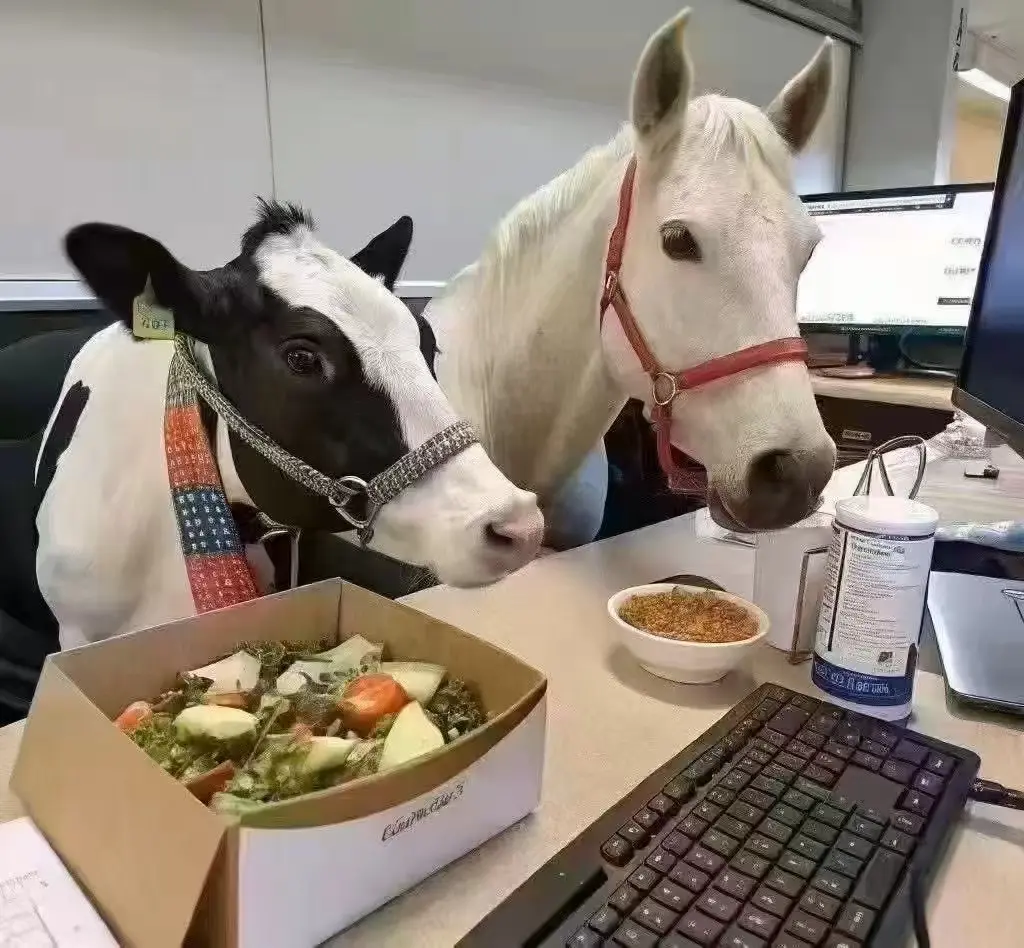 硅谷又炸了,Clawdbot开始雇佣人类!2万人排队卖身,时薪狂飙3500