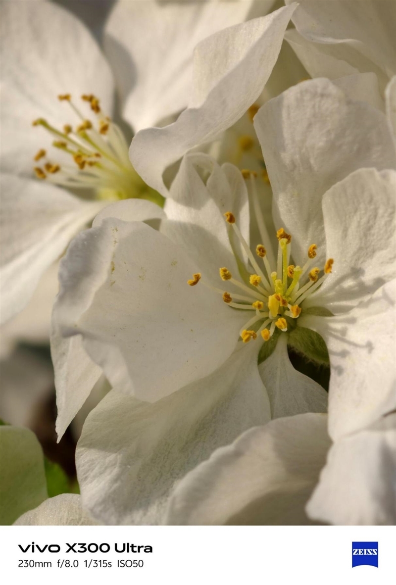 14-400mm终极全焦段!vivo X300 Ultra手机全面评测:依然是年度影像机皇