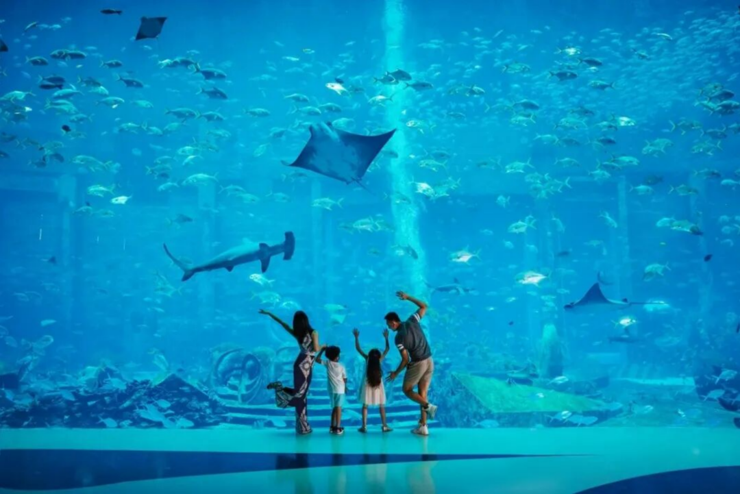屏幕截图 2026-09-21 225813.png