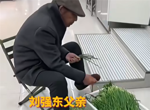 网友偶遇刘强东母亲在京东食堂煮饺子：衣着朴素待人随和