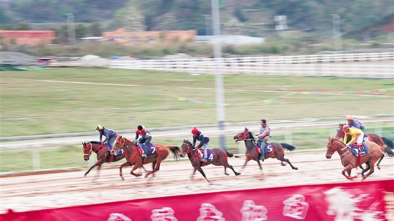 “村马”比赛现场开云体育，骏马驰骋。贵州日报天眼新闻记者 何广 摄