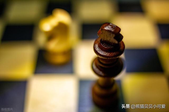 不简单的波动：宇树科技和海底捞的这轮行情表现股票配资收益，背后大有门道？