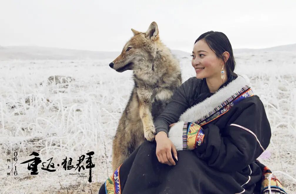 《重返狼群》纪录片海报