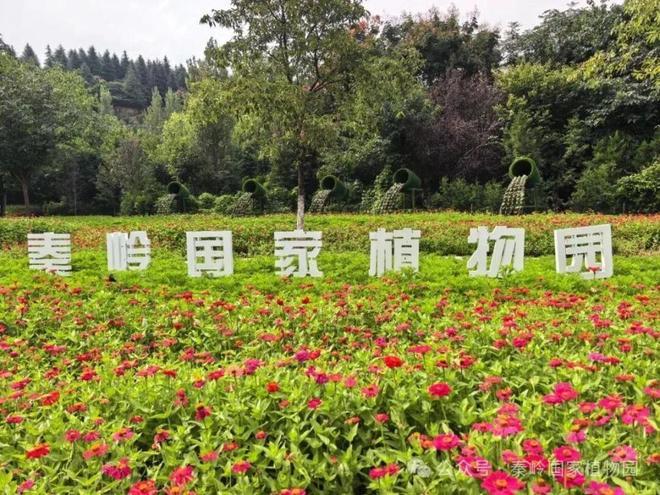 重阳登高佳期秦岭国家植物园推出敬老免票福利