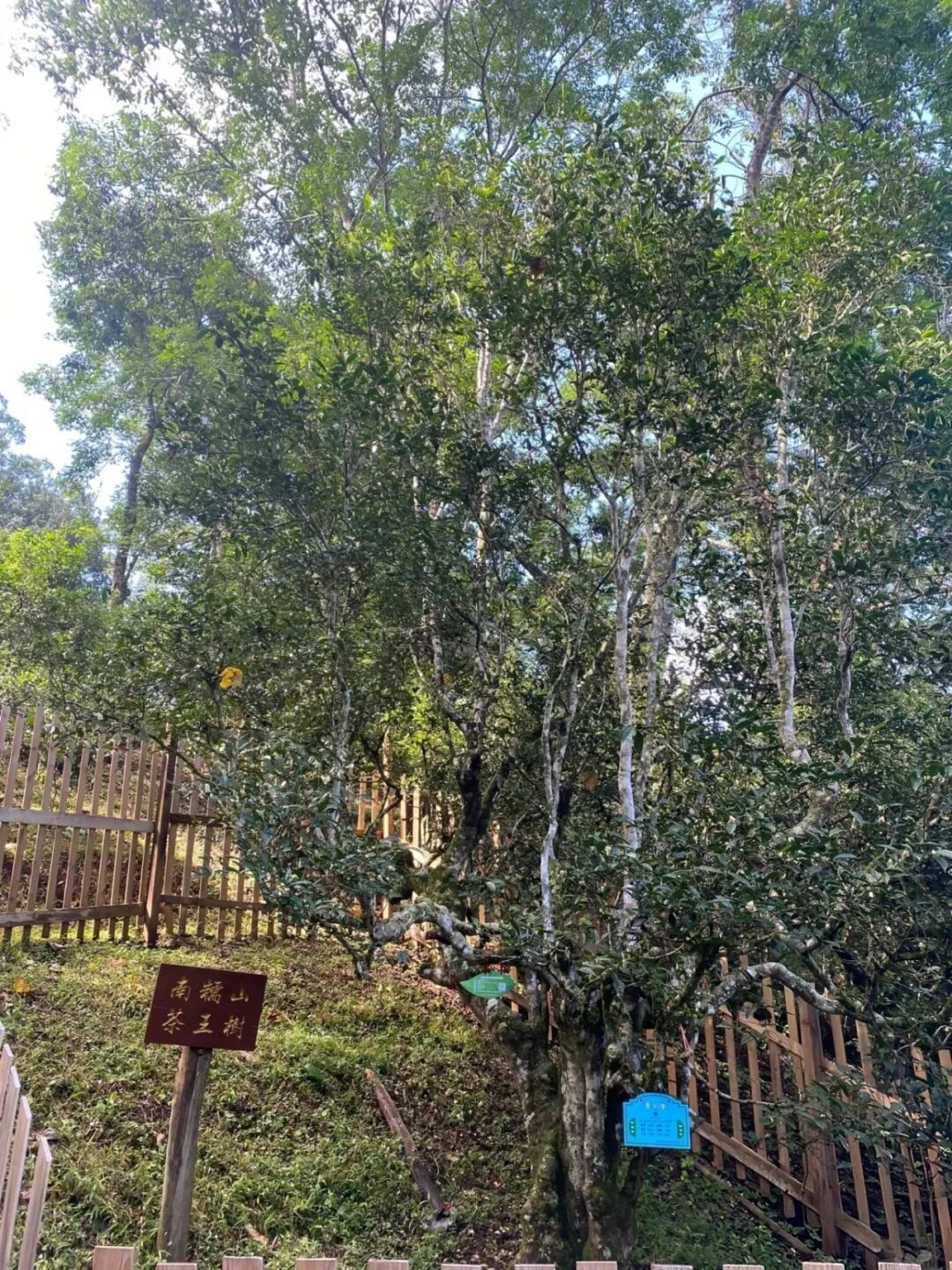 微信图片_20260915115319_581_120.jpg