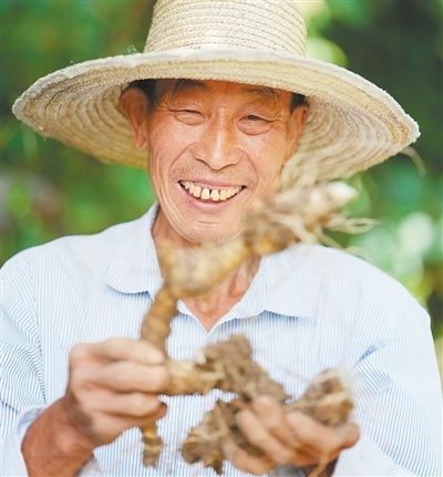 陈泽平是一名护林员,他在自家零散的地块上种黄精等中药材,收入有了更多保障。
