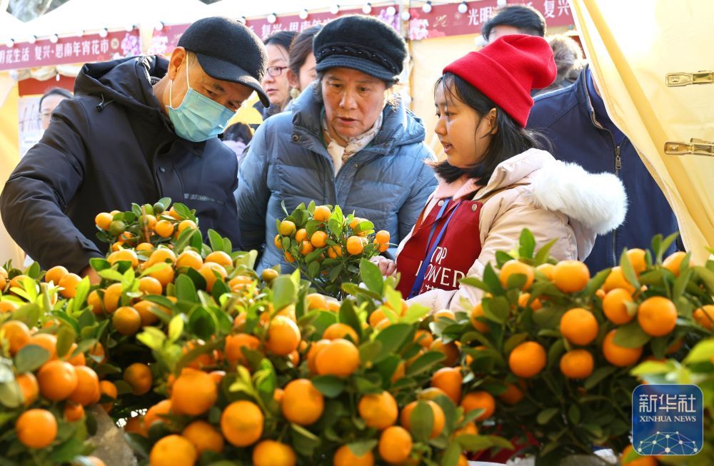 ↑1月23日，市民游客在上海复兴公园年宵花市上选购小金橘。新华社记者 方喆 摄