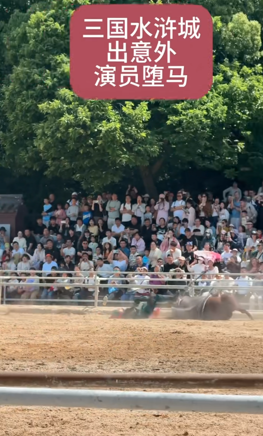 马和人一起栽倒在地演员在地上翻滚