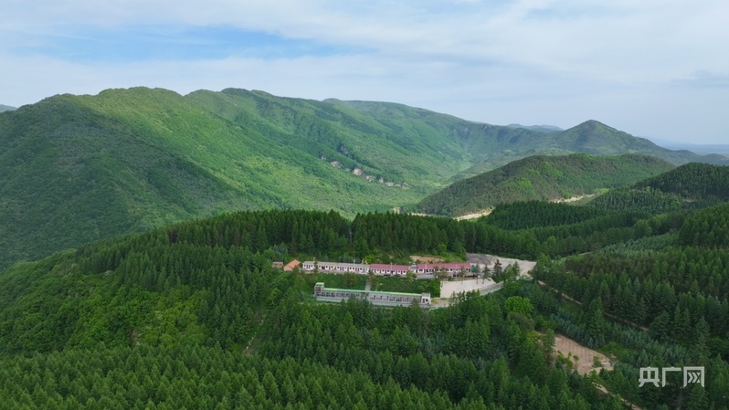 鸟瞰六盘山，绿意环绕（央广网发 王煊赫 摄）