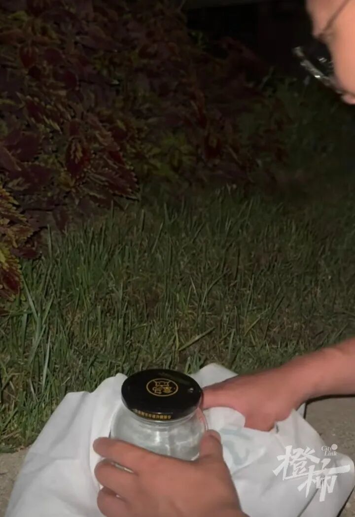 抓到的小蛇被放生