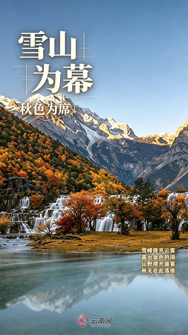 秋天视觉海55报设计_副本.png