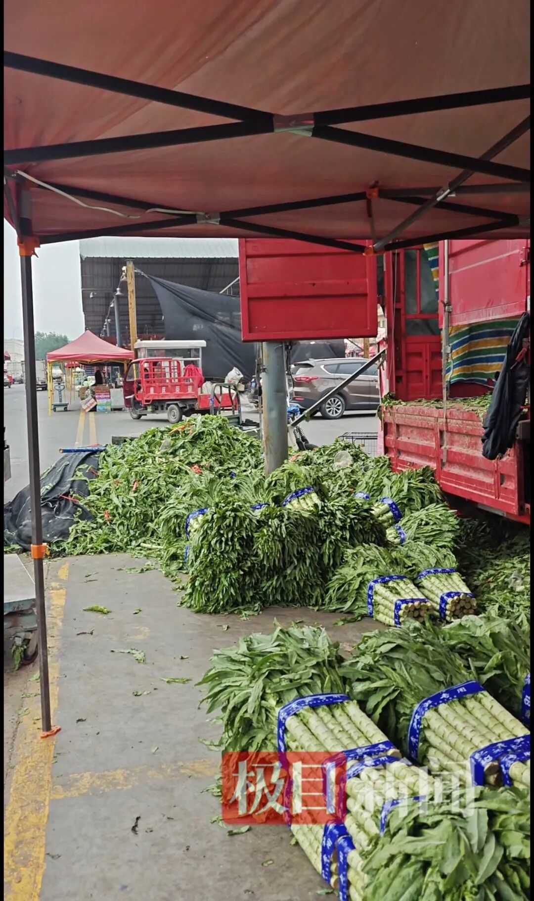 孙霞的摊位正在售卖本地青笋(极目新闻记者 陈洋洋摄)