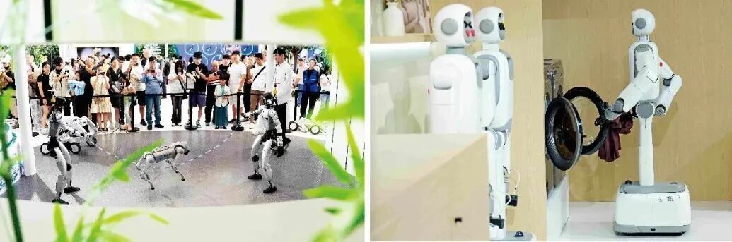 在2026世界机器人大会上,各种人形具身机器人亮相展示。左图:机器人跳绳。右图:墨奇智能的一台机器人在演示将洗衣机内的衣物取出放入烘干机。